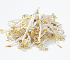 숙주
