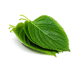 깻잎